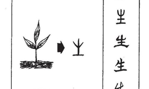 真空拔罐器-真空拔罐器的副作用网 | 真空拔罐器哪个品牌好,真空拔罐器多少钱一套